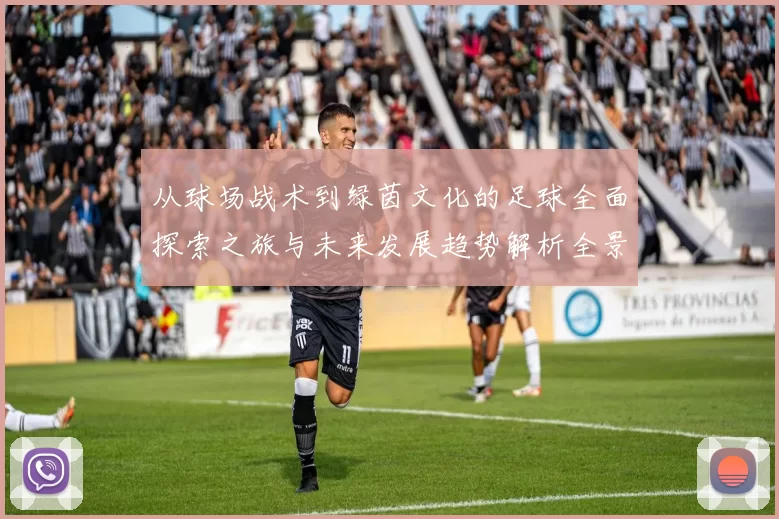 从球场战术到绿茵文化的足球全面探索之旅与未来发展趋势解析全景