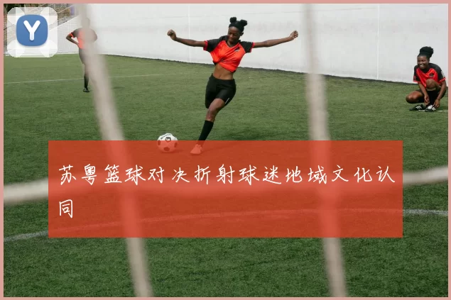 苏粤篮球对决折射球迷地域文化认同