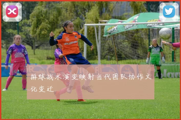 排球战术演变映射当代团队协作文化变迁