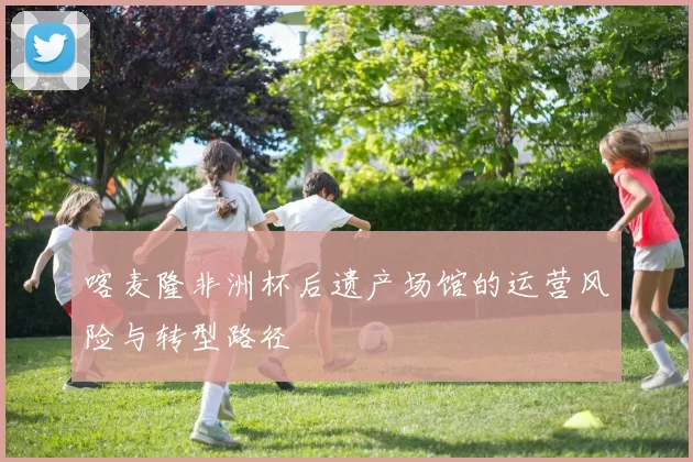 喀麦隆非洲杯后遗产场馆的运营风险与转型路径