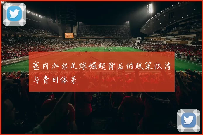 塞内加尔足球崛起背后的政策扶持与青训体系