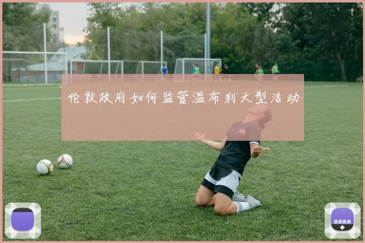 伦敦政府如何监管温布利大型活动